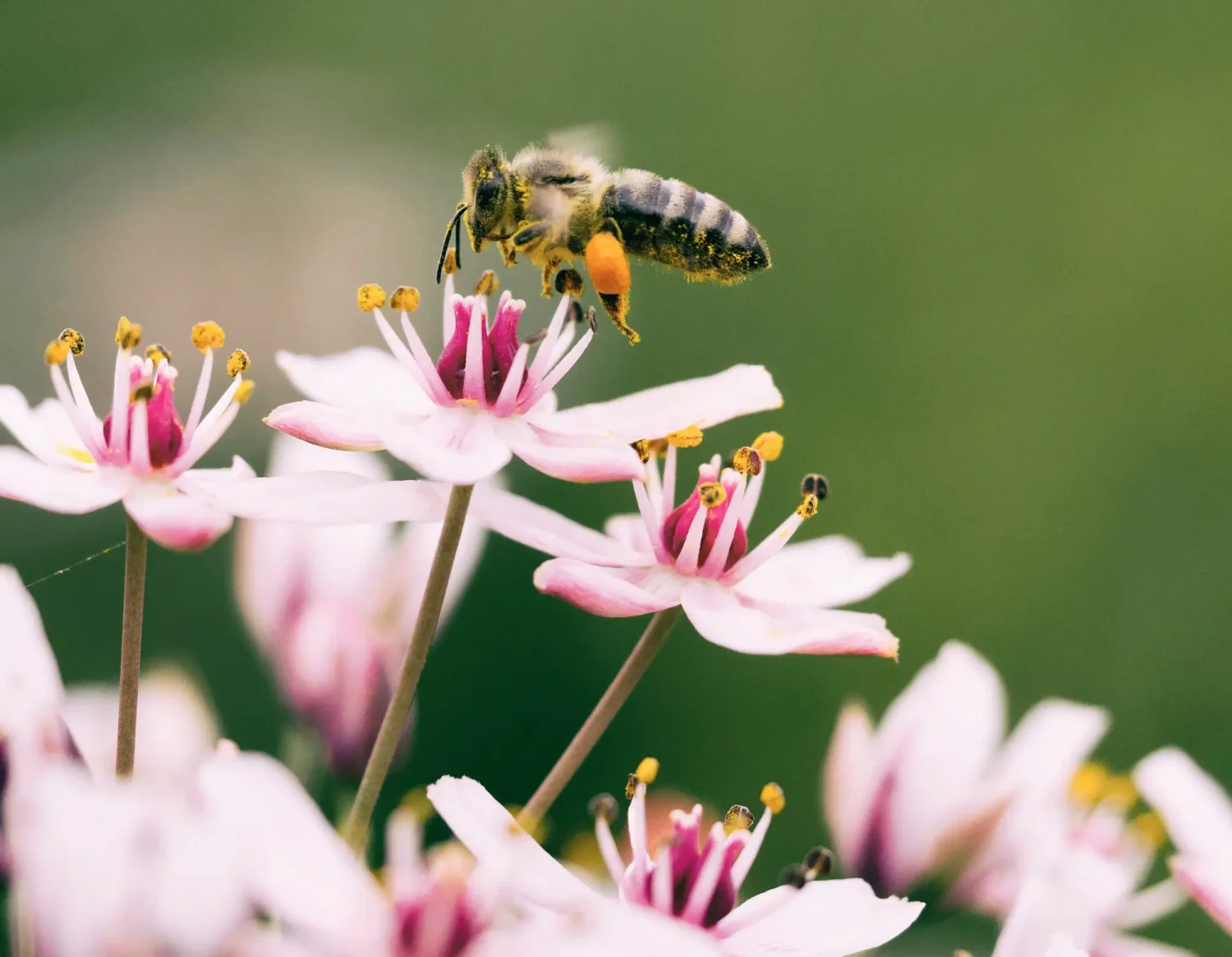 aaron-burden-6csuZQ9oZcI-unsplash-crop